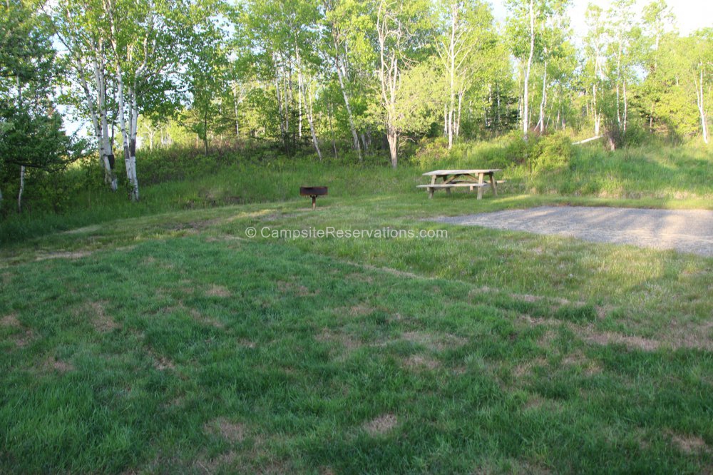 Photo of Campsite 54 in Five Islands Provincial Park Campground at Five